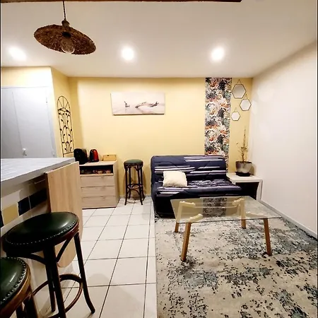 Appartements Miawe Tarbes Exterior foto